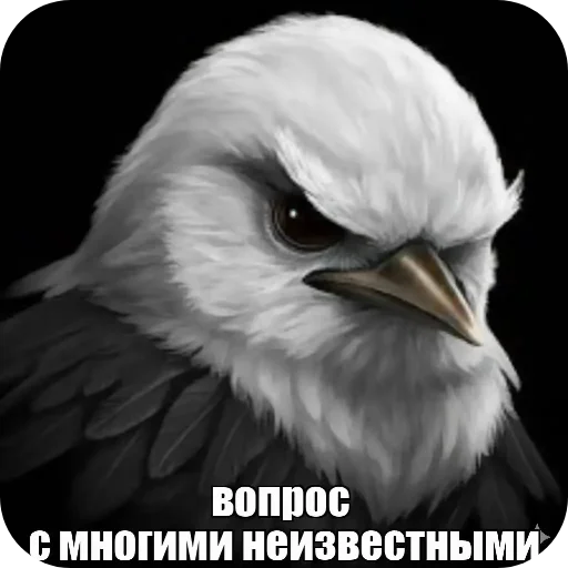 🐦 Стикер «Вряд-ли птица» для Telegram