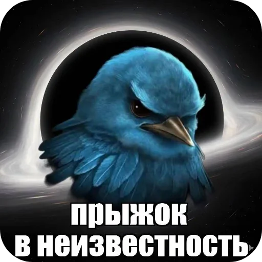 🐦 Стикер «Вряд-ли птица» для Telegram