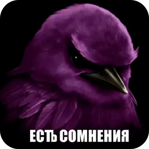 🌸 Стикер «Вряд-ли птица» для Telegram