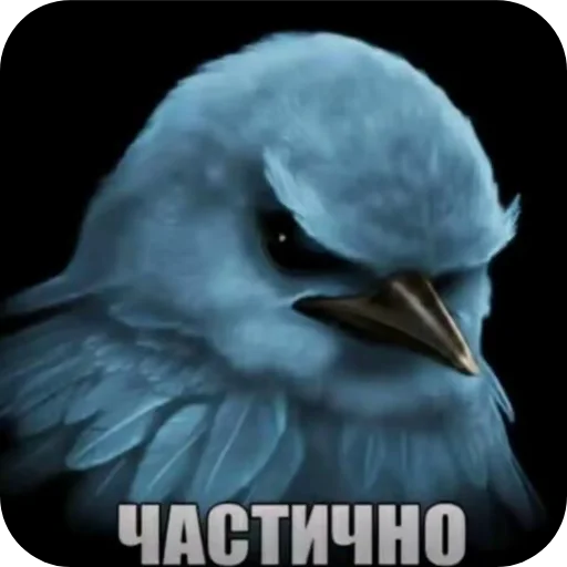👍 Стикер «Вряд-ли птица» для Telegram
