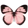 🌟 Эмодзи «୭ 𝐩𝐮𝐞𝐛𝐥𝐨» для Telegram
