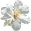🌟 Эмодзи «୭ 𝐩𝐮𝐞𝐛𝐥𝐨» для Telegram