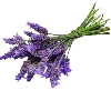 💐 Эмодзи «𝗣𝘂𝗿𝗽𝗹𝗲 𝗲𝗺𝗼𝗷𝗶 ☞» для Telegram