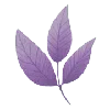 🌸 Эмодзи «🌸 Purple - пурпурные эмодзи» для Telegram