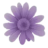 🌸 Эмодзи «🌸 Purple - пурпурные эмодзи» для Telegram