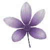 🌸 Эмодзи «🌸 Purple - пурпурные эмодзи» для Telegram