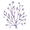 🌸 Эмодзи «🌸 Purple - пурпурные эмодзи» для Telegram