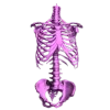 🩻 Эмодзи «Purple Aesthetics» для Telegram