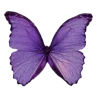 💜 Эмодзи «#decor #static» для Telegram