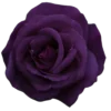 🤩 Эмодзи «Purple» для Telegram