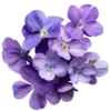 🤩 Эмодзи «Purple» для Telegram