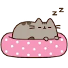 😴 Эмодзи «Pusheen» для Telegram
