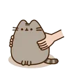 🍩 Эмодзи «🍚 Pusheen Кот» для Telegram