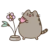 🌷 Эмодзи «🍚 Pusheen Кот» для Telegram