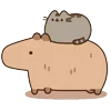 Эмодзи 🍚 Pusheen Кот для Telegram — скачать