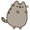 😁 Эмодзи «🍚 Pusheen Кот» для Telegram