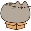 📦 Эмодзи «🍚 Pusheen Кот» для Telegram