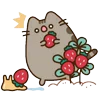 🍓 Эмодзи «🍚 Pusheen Кот» для Telegram
