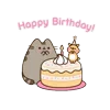 🎂 Эмодзи «🍚 Pusheen Кот» для Telegram