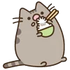 🍚 Эмодзи «🍚 Pusheen Кот» для Telegram