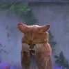 🤩 Эмодзи «Кот В Сапогах» для Telegram