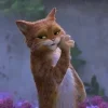 🤩 Эмодзи «Кот В Сапогах» для Telegram