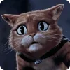 🤩 Эмодзи «Кот В Сапогах» для Telegram