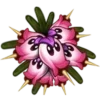 🌟 Эмодзи «Pvz 2» для Telegram