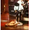 🤩 Эмодзи «Группа Queen» для Telegram