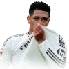 🤩 Эмодзи «Real Madrid» для Telegram