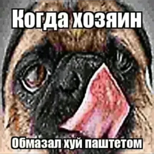 🤩 Стикер «Roflz» для Telegram