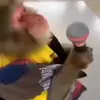 🙈 Эмодзи «Monkeys #animals #cute #memes» для Telegram