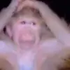 🙈 Эмодзи «Monkeys #animals #cute #memes» для Telegram
