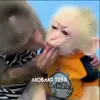 🙈 Эмодзи «Monkeys #animals #cute #memes» для Telegram