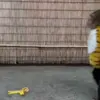 🙈 Эмодзи «Monkeys #animals #cute #memes» для Telegram