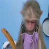 🙈 Эмодзи «Monkeys #animals #cute #memes» для Telegram
