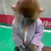 🙈 Эмодзи «Monkeys #animals #cute #memes» для Telegram