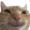 😏 Эмодзи «RV pack» для Telegram