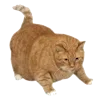 🐱 Эмодзи «RV pack» для Telegram