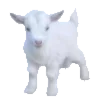 🐮 Эмодзи «𝘕𝘪𝘬𝘰𝘭𝘺𝘢 𝘤𝘰𝘳𝘦 ᗒᗩᗕ» для Telegram