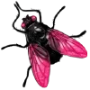 🪰 Эмодзи «👁 Random emoji» для Telegram