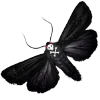 🦇 Эмодзи «👁 Random emoji» для Telegram