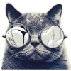🐈 Эмодзи «Ran-dom-don 1» для Telegram