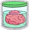 🧠 Эмодзи «Ran-dom-don 1» для Telegram