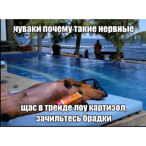 😎 Стикер «Random 3 ,» для Telegram