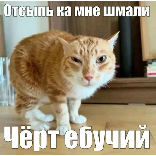 🥴 Стикер «Random 3 ,» для Telegram