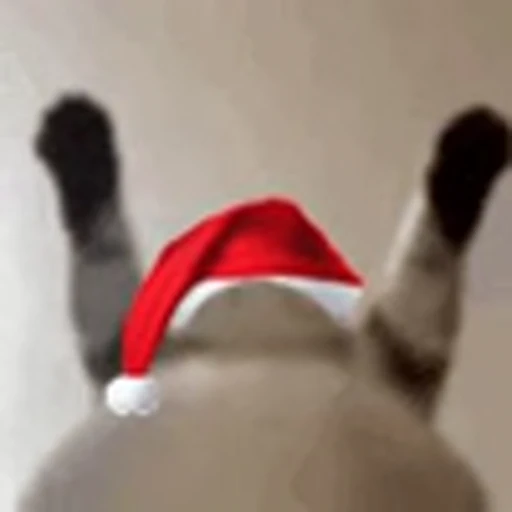 🤩 Эмодзи «Random4ik Christmas» для Telegram