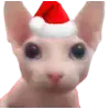 🤩 Эмодзи «Random4ik Christmas» для Telegram