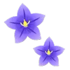 🌸 Эмодзи «The Last Random» для Telegram