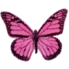 🦋 Эмодзи «💗 Random - рандомные эмодзи» для Telegram